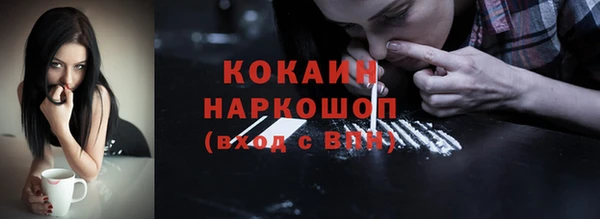 ПСИЛОЦИБИНОВЫЕ ГРИБЫ Алексин