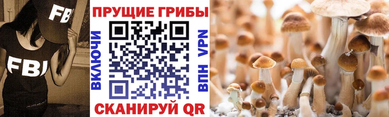 Галлюциногенные грибы Magic Shrooms  Алексин 